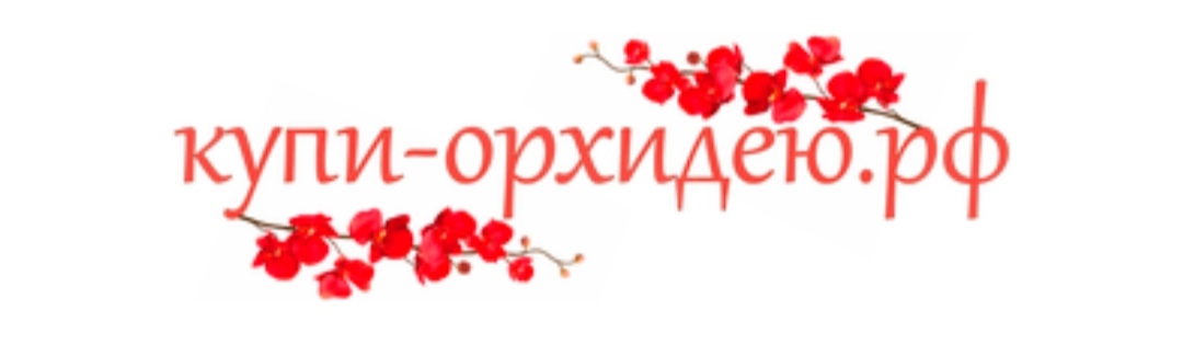 Купи-орхидею.рф