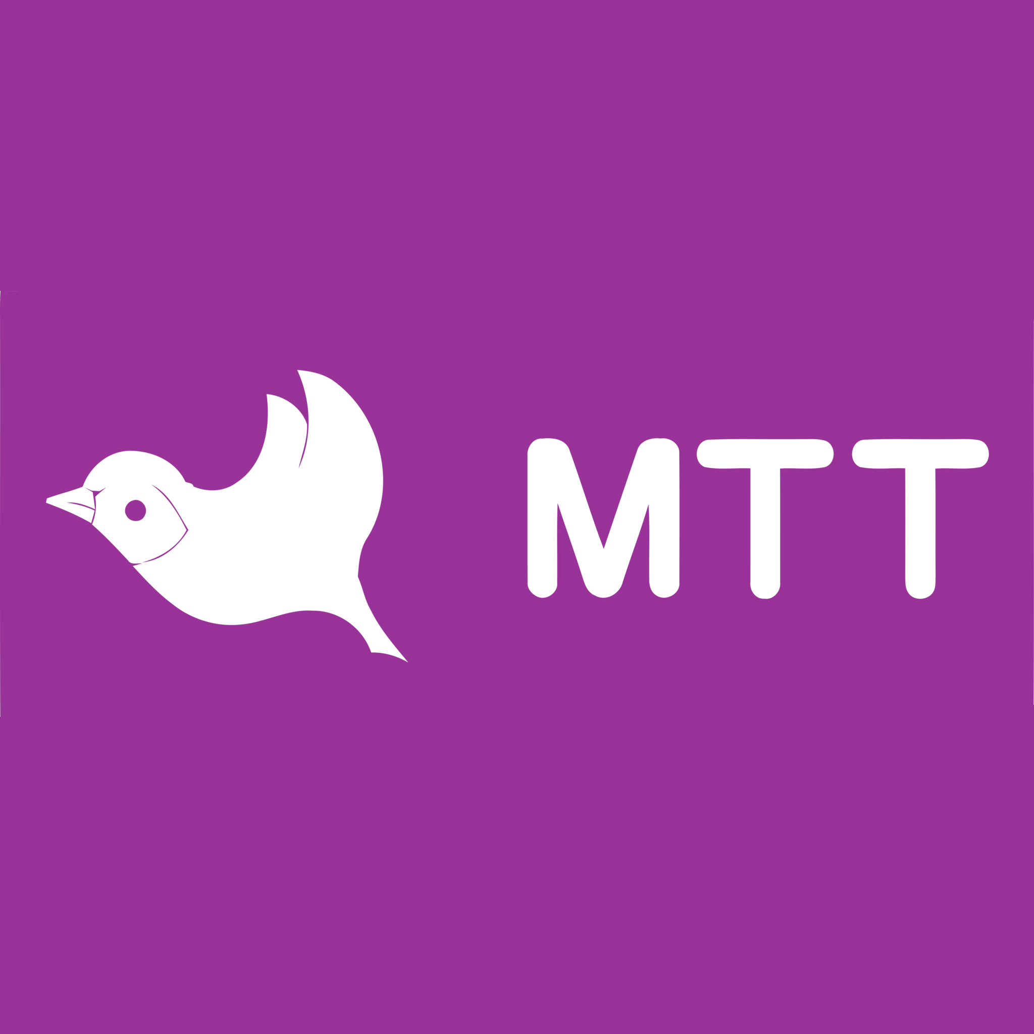 Компания МТТ (Межрегиональный ТранзитТелеком)