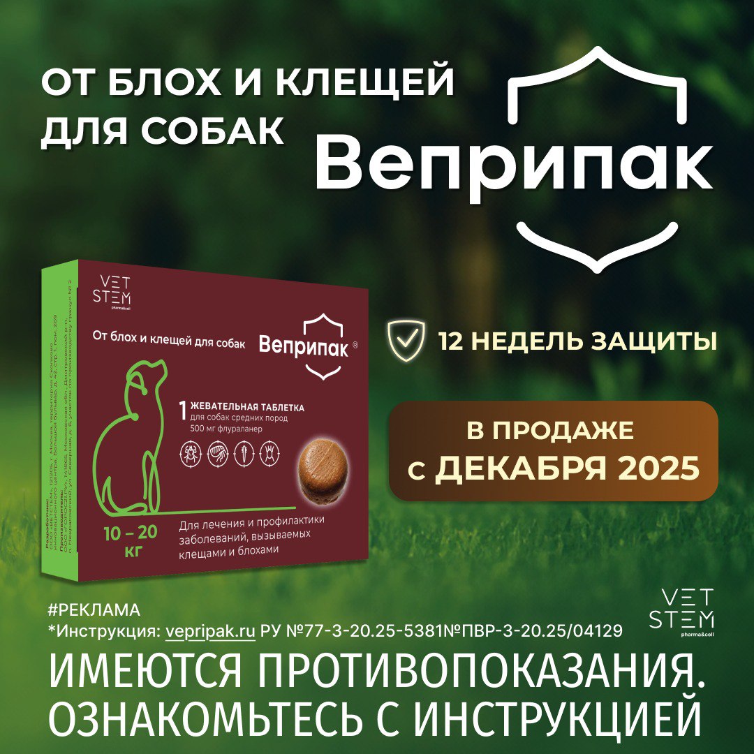 Веприпак - препарат от клещей и блох для собак