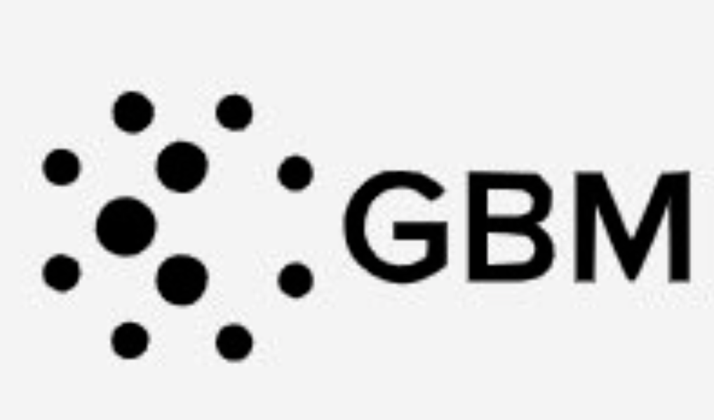 trades.gbmsecurities-limited.pro