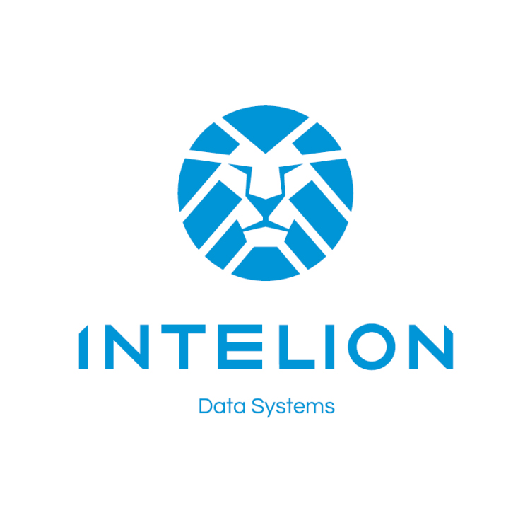 Intelion Data Systems